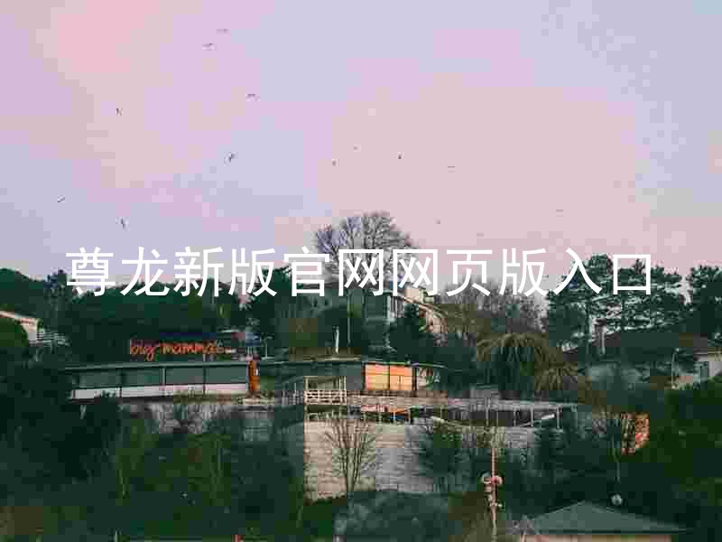 尊龙新版官网网页版入口