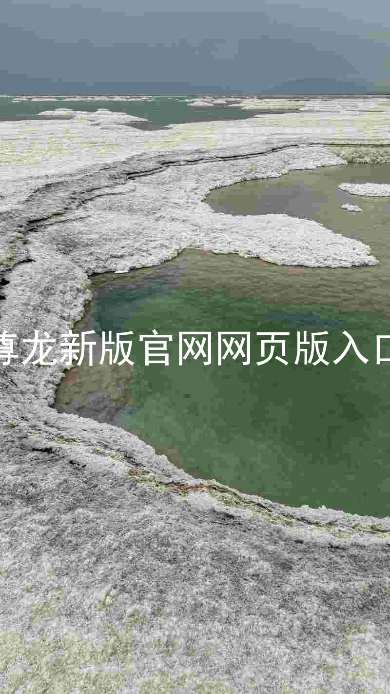尊龙新版官网网页版入口
